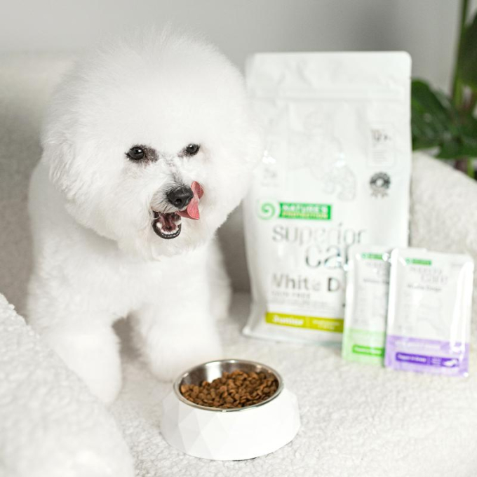 White dog treats outlet